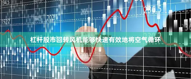 杠杆股市回转风机能够快速有效地将空气循环
