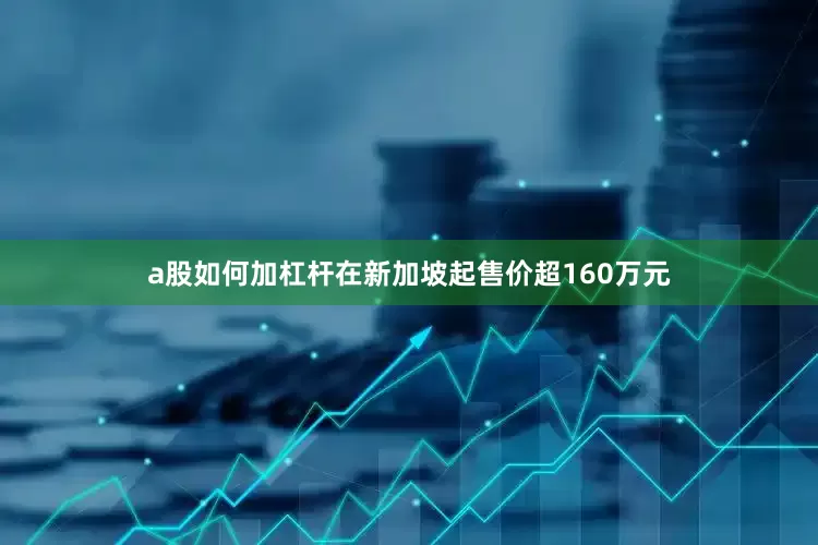 a股如何加杠杆在新加坡起售价超160万元